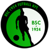 Budaorsi SC Logo