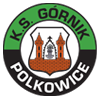 Gornik Polkowice vs Lechia Zielona Góra Stats