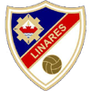 Estadísticas de Linares Deportivo contra Alcoyano | Pronostico