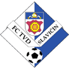 Slavicin vs FK Nove Sady Stats