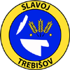 Estadísticas de Slavoj Trebisov contra FK Humenne | Pronostico