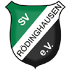 Fortuna Dusseldorf  vs SV Rodinghausen Stats