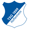 TSG Hoffenheim vs Borussia M'gladbach Stats