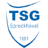 Estadísticas de TSG Sprockhovel contra Sportfreunde Lotte | Pronostico